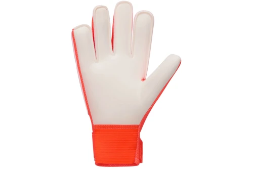 Nike Match Jr. Γάντια Τερματοφύλακα (HQ0258 830)