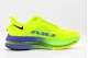 Nike Pegasus Premium (HQ2592 702)