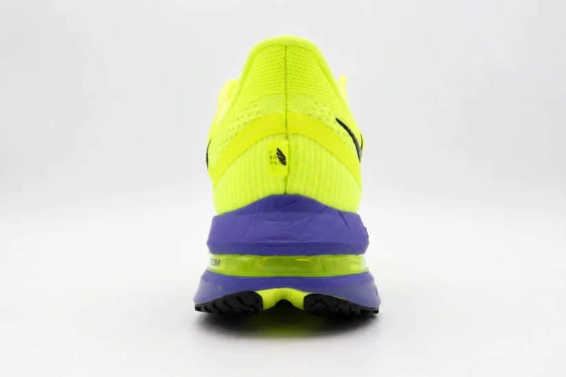 Nike Pegasus Premium (HQ2592 702)