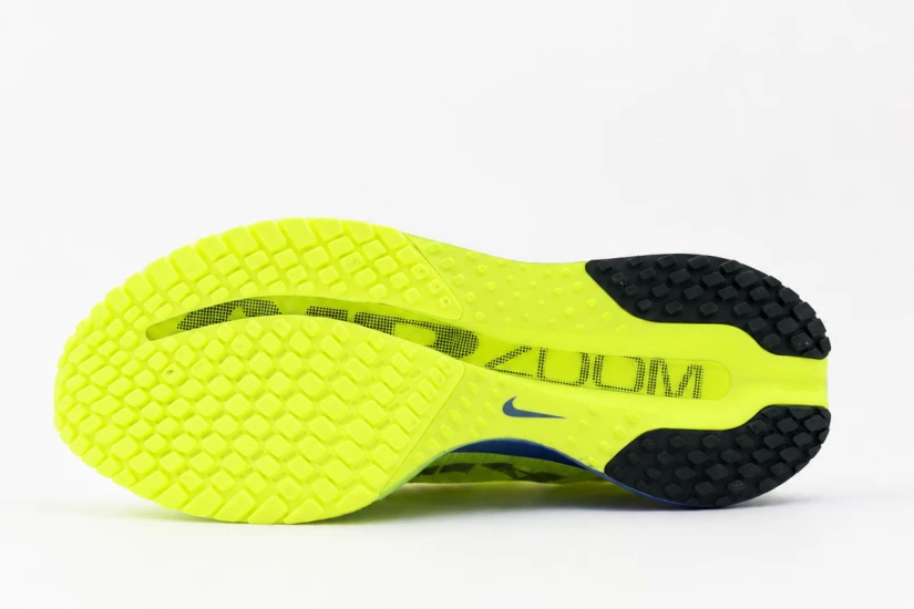 Nike Pegasus Premium (HQ2592 702)