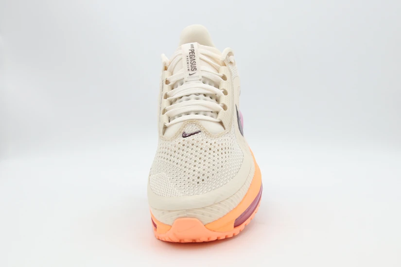 Nike W Pegasus Premium (HQ2593 113)