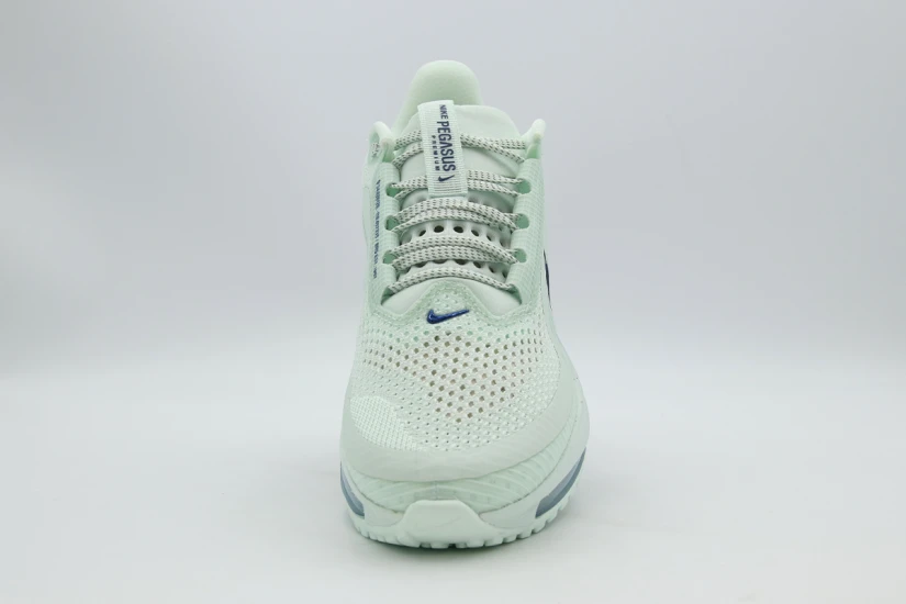 Nike W Pegasus Premium (HQ2593 301)
