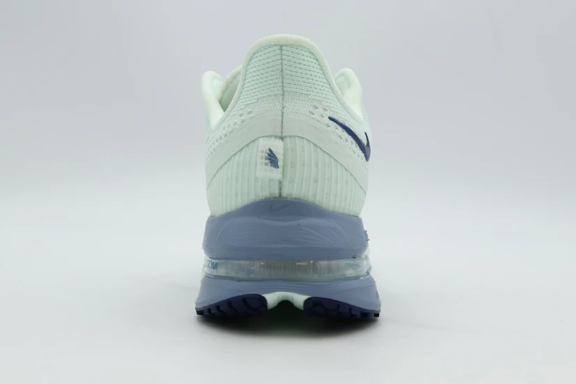 Nike W Pegasus Premium (HQ2593 301)