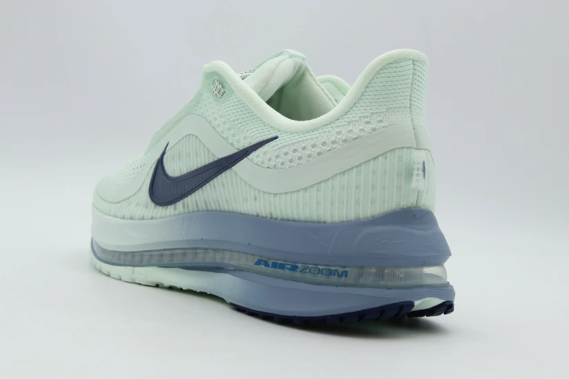 Nike W Pegasus Premium (HQ2593 301)