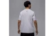 Jordan Sport Dri-Fit Ανδρικό Κοντομάνικο T-Shirt Λευκό, Μαύρο, Κόκκινο