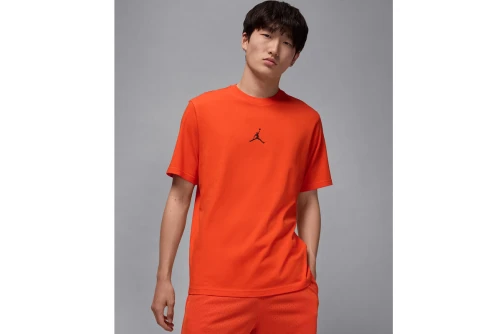 Jordan Sport Dri-Fit T-Shirt Ανδρικό (HQ8970 891)