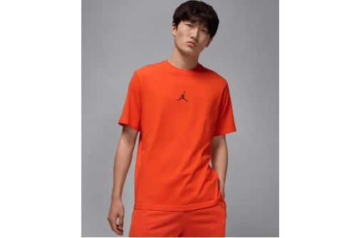 Jordan Sport Dri-Fit T-Shirt Ανδρικό (HQ8970 891)