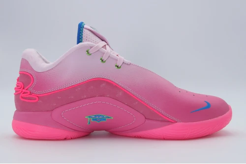 Nike Lebron Xxii Sn Παπούτσια Για Μπάσκετ (HV8455 600)