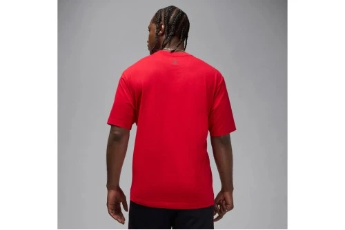 Jordan Wings Photo T-Shirt Ανδρικό (IF5617 687)