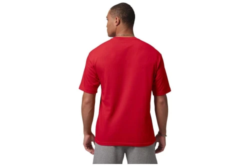 Jordan Jumpman T-Shirt Ανδρικό (IR0342 687)