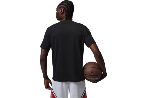 Jordan Sport Dri-Fit T-Shirt Ανδρικό (IR0864 010)