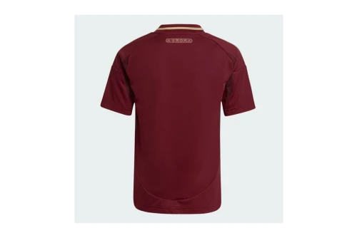 Adidas Performance As Roma 24-25 Home Jersey Φανέλα Ομάδας (IS5846)
