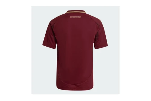 Adidas Performance As Roma 24-25 Home Jersey Φανέλα Ομάδας (IS5846)