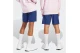 Adidas Performance Essentials Big Logo Αθλητική Βερμούδα Μπλε