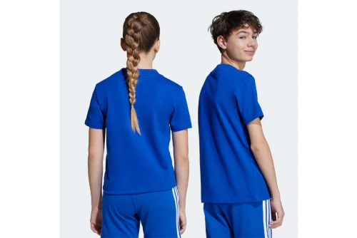 Adidas Performance Essentials Big Logo T-Shirt (JV9866)