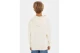 Tommy Jeans Arched Hoodie (KB0KB08290 YBH)