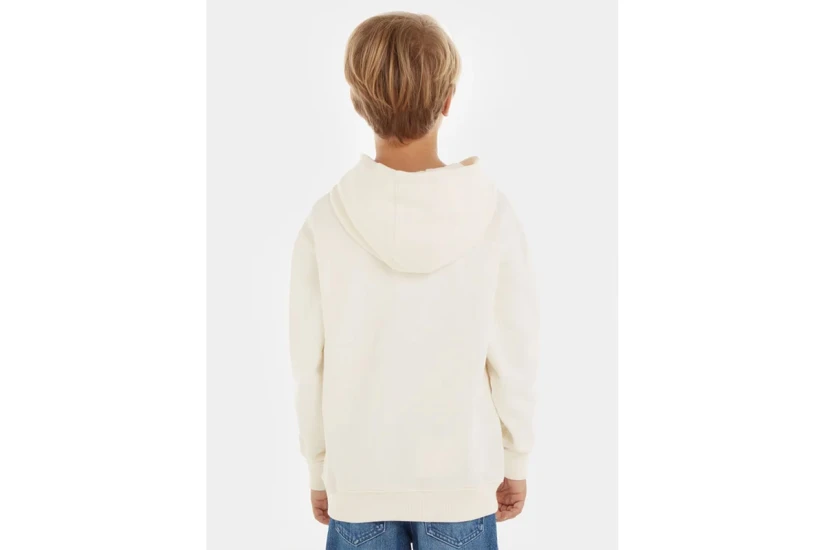 Tommy Jeans Arched Hoodie (KB0KB08290 YBH)