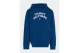 Tommy Jeans Flag Hoodie (KB0KB08490 C3J)