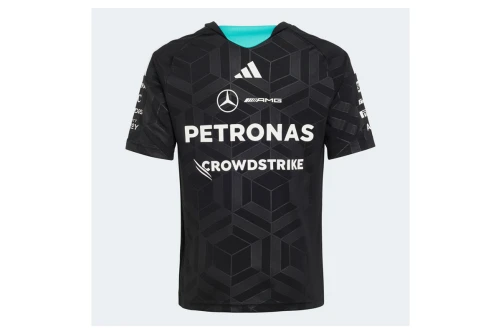 Adidas Performance Mercedes-Amg Petronas F1 Team Driver T-Shirt (KF0165)