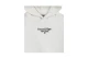 Tommy Jeans Graphic Hoodie L-S Hoodie (KG0KG07046 YBR)