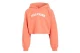Tommy Jeans Monotype Hoodie (KG0KG07381 XKI)