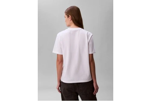 Calvin Klein 20S Classic Logo T-Shirt Γυναικείο (LV047C856G YAF)