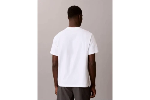 Calvin Klein Relaxed Logo T-Shirt Ανδρικό (LV04LG812G YAF)