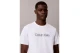 Calvin Klein Relaxed Logo Ανδρικό Κοντομάνικο T-Shirt Λευκό