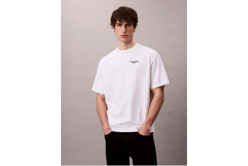Calvin Klein Back Logo T-Shirt Ανδρικό (LV04RD825G YAA)