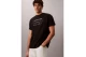 Calvin Klein Graphic Seasonal Ανδρικό Κοντομάνικο T-Shirt Μαύρο