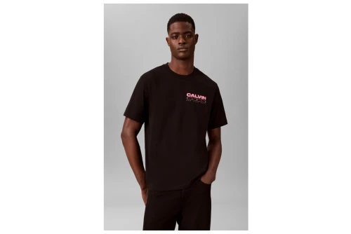 Calvin Klein Relaxed Back Logo T-Shirt Ανδρικό (LV04RG827G UB1)