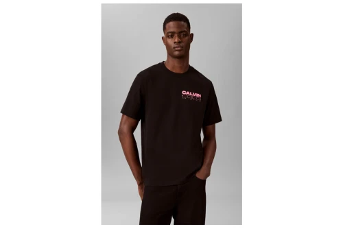 Calvin Klein Relaxed Back Logo T-Shirt Ανδρικό (LV04RG827G UB1)