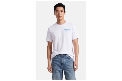 Calvin Klein Relaxed Back Logo T-Shirt Ανδρικό (LV04RG827G YAF)