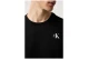 Calvin Klein Back Graphic Ανδρικό Κοντομάνικο T-Shirt Μαύρο