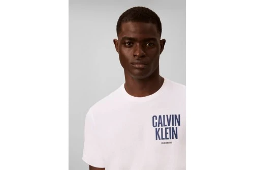 Calvin Klein Logo Graphic T-Shirt Ανδρικό (LV04RH816G YAF)
