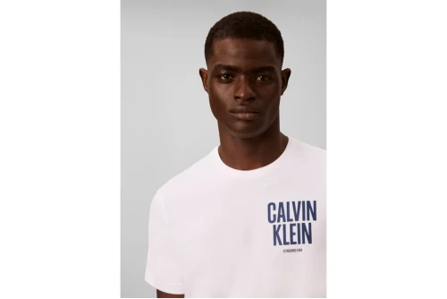 Calvin Klein Logo Graphic T-Shirt Ανδρικό (LV04RH816G YAF)