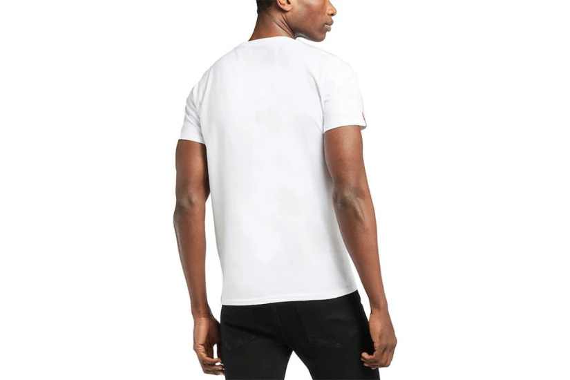 Superdry Collegiate Graphic Tee 220 (M1011193A T7X)
