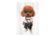 MWM Teddy Bear Sweatwear Dog Print Regular Fit Κοντομάνικο T-Shirt Λευκό, Διάφορα Χρώματα