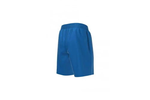 Nike Essential 15Cm Volley Μαγιό Σορτς (NESSA779 494)