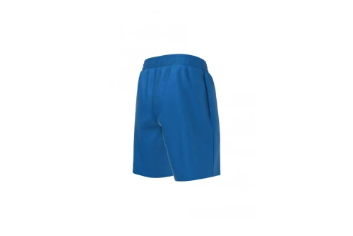 Nike Essential 15Cm Volley Μαγιό Σορτς (NESSA779 494)
