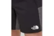 The North Face Ma Woven Ανδρική Αθλητική Βερμούδα Μαύρη, Γκρι