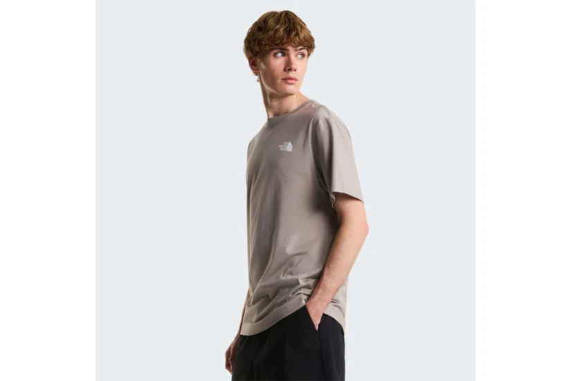 The North Face Evolution NSE Box Regular Ανδρικό Κοντομάνικο T-Shirt Γκρι