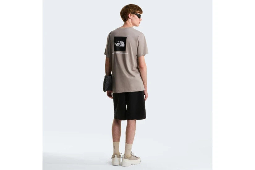 The North Face Evolution NSE Box Regular Ανδρικό Κοντομάνικο T-Shirt Γκρι