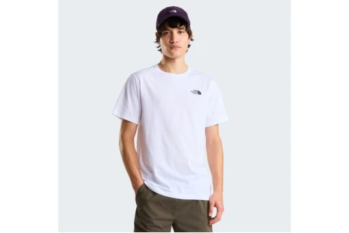 The North Face Evolution Nse Box Regular T-Shirt Ανδρικό (NF0A8B6KFN41)