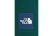 The North Face Box Regular Ανδρική Αθλητική Βερμούδα Κυπαρισσί