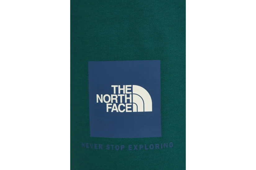 The North Face Box Regular Ανδρική Αθλητική Βερμούδα Κυπαρισσί