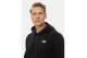 The North Face Evolution Simple Dome Ανδρικό Φούτερ με Κουκούλα Μαύρο