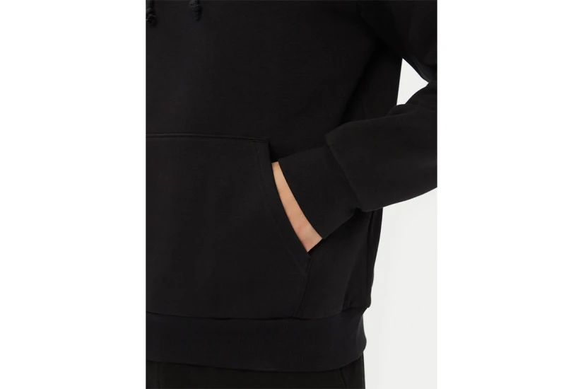 The North Face Evolution Simple Dome Ανδρικό Φούτερ με Κουκούλα Μαύρο