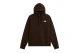 The North Face Evolution Box NSE Ανδρικό Φούτερ με Κουκούλα Καφέ