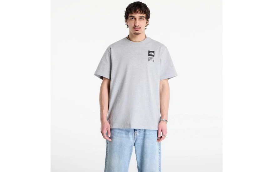 The North Face Celebration Relaxed Graphic Ανδρικό Κοντομάνικο T-Shirt Γκρι